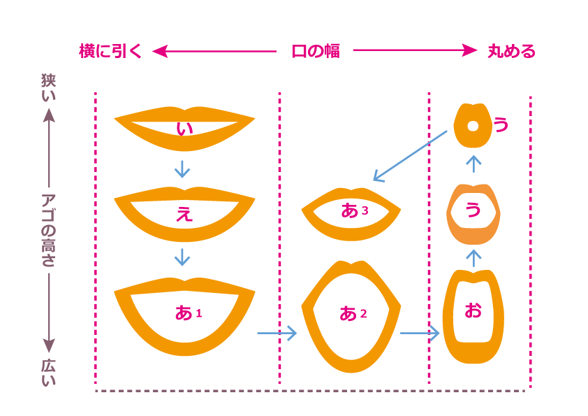 For Senior 英語発音体操